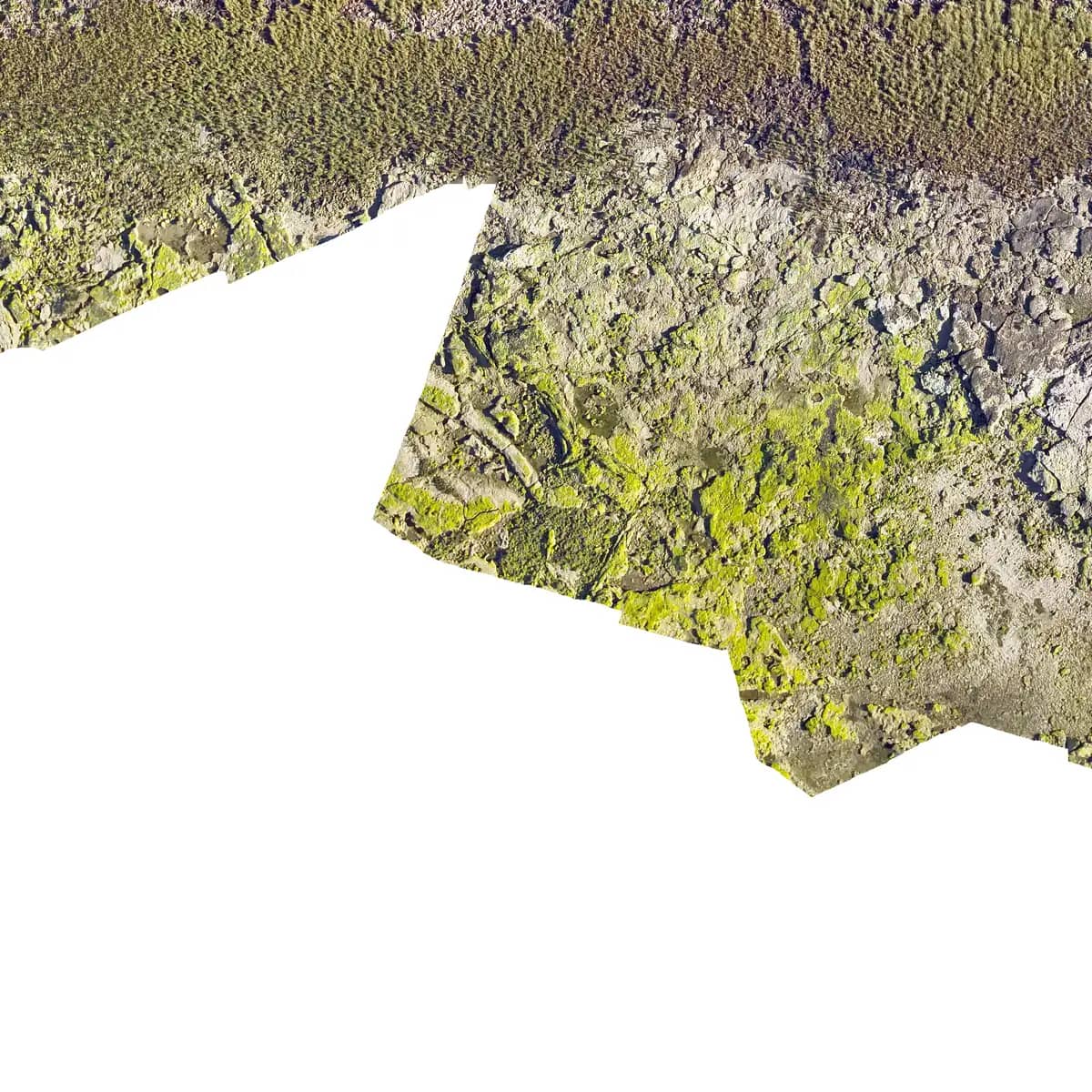 Orthomosaic of Peninsula Valdes - Punta Cantor 2026 campaña 2
